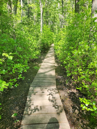 Best hikes and trails in Great Woods Conservation Area | AllTrails