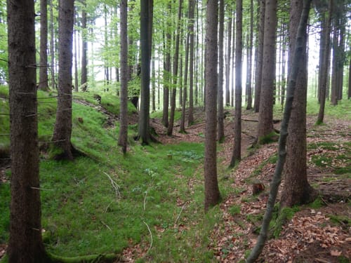 Aidling - Baumberg - Höhenberg