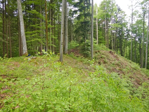 Aidling - Baumberg - Höhenberg