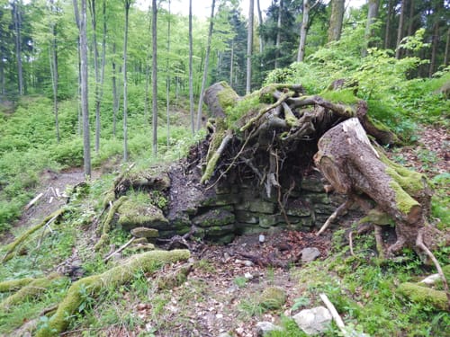 Aidling - Baumberg - Höhenberg