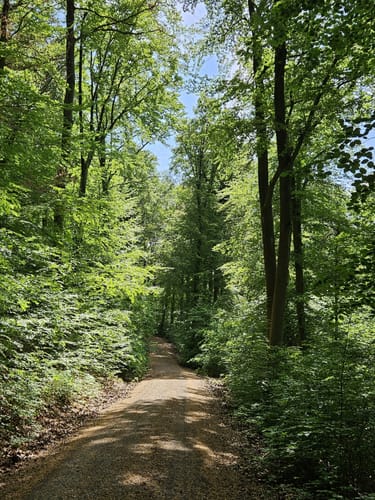 Edelmannswald