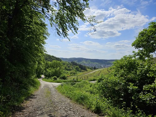 Edelmannswald