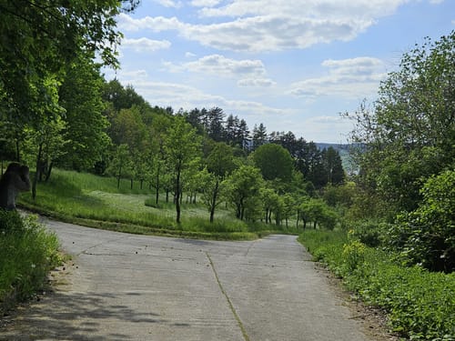 Edelmannswald