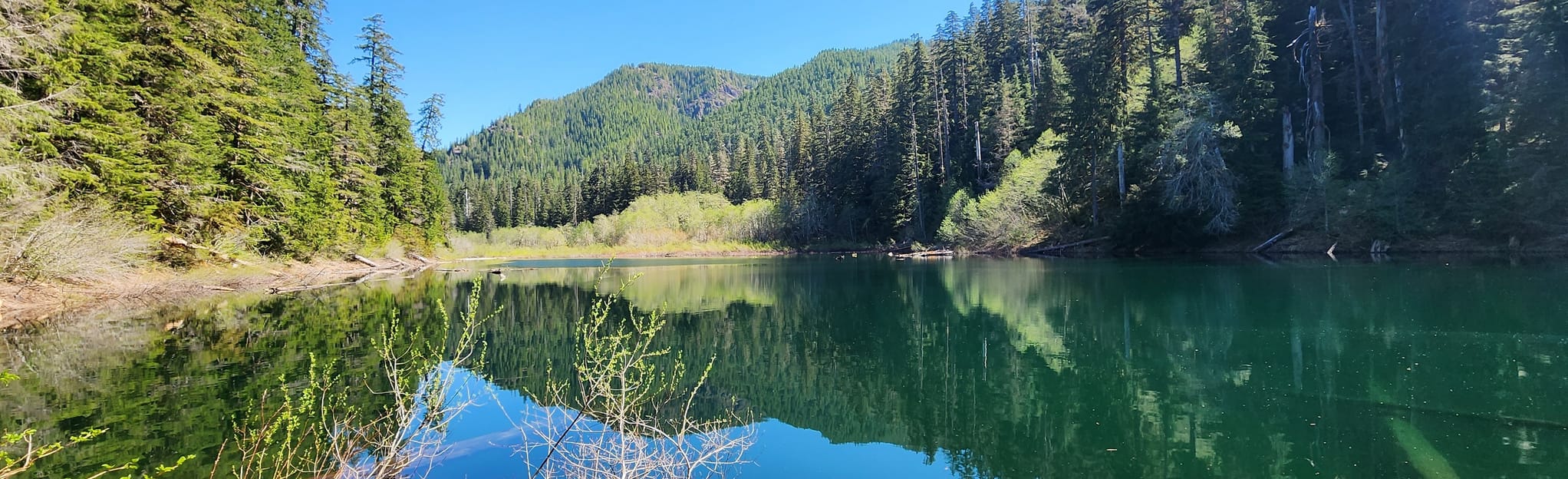 Spider Lake Trail, Washington 199 Reviews, Map AllTrails