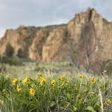 Rim Rock Trail, Oregon - 284 Reviews, Map | AllTrails