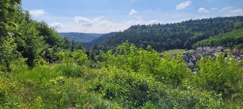 Rundweg: Sulz - Langenhard