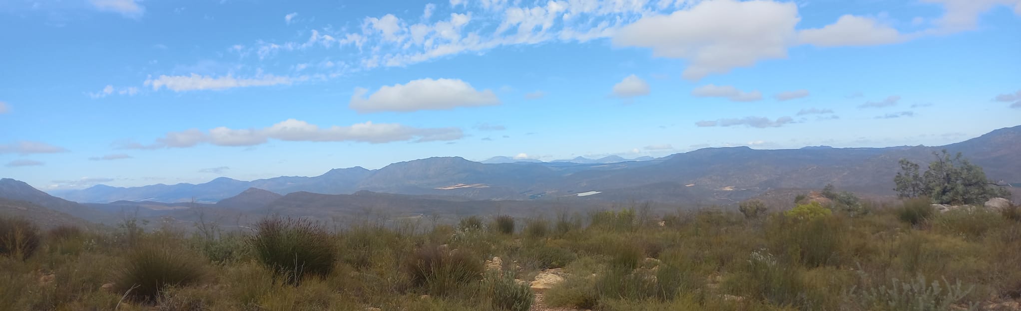Rooiberg Peak Trail, Western Cape, South Africa - 10 Reviews, Map ...