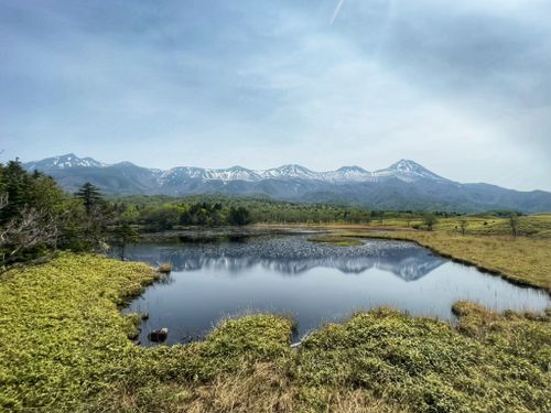 2023 Best Wildflowers Trails in Shiretoko National Park | AllTrails