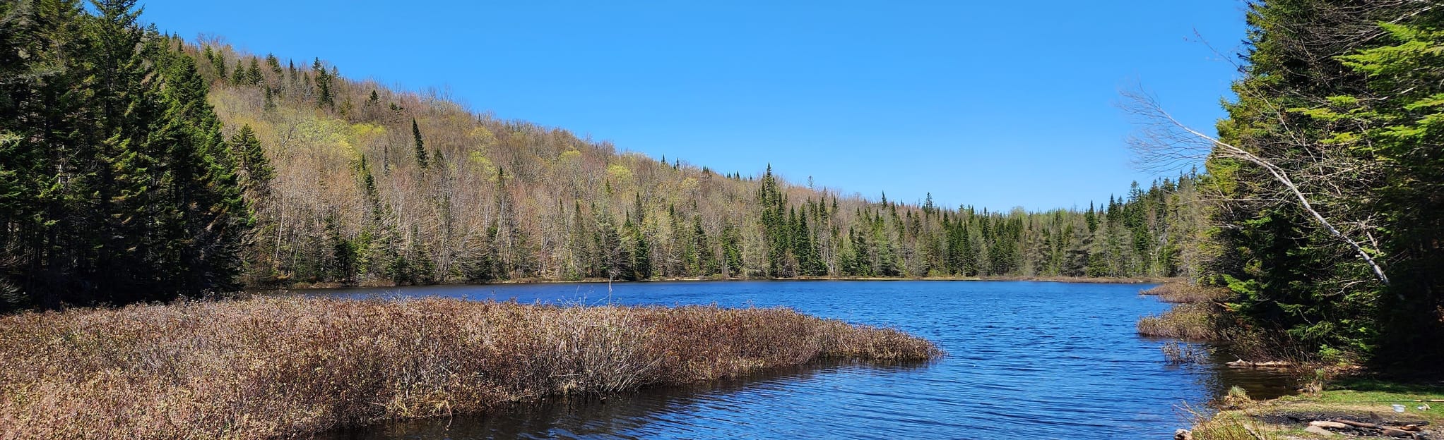 Yellow River Valley via Peaceful Lake 117 Reviews, Map Quebec