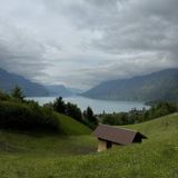 Parc animalier de Brienz – La découverte de la faune