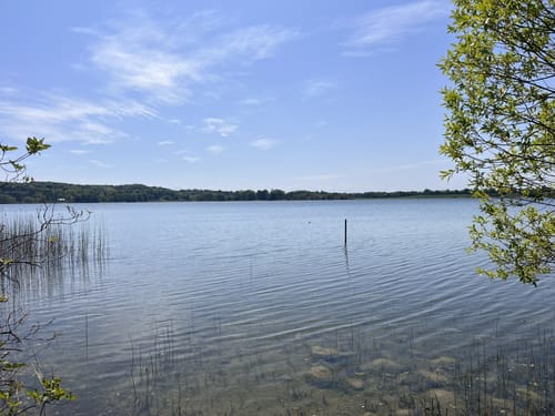 Scharbeutzer Heide und Großer Pönitzer See