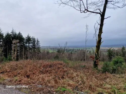 Best Hikes and Trails in Kilmurray Woods | AllTrails