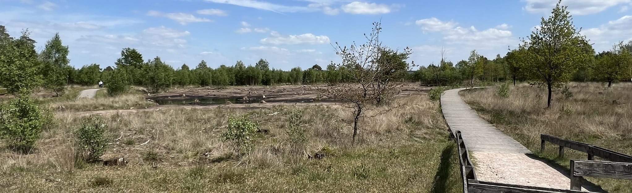 Ruta ciclista Hoge Veluwe Schaarsbergen Museonder 92 fotos Güeldres, Países Bajos AllTrails