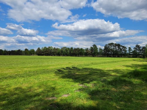Moorrundweg Pietzmoor