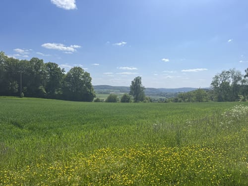 Leun - Dianaburg - Leuner Burg