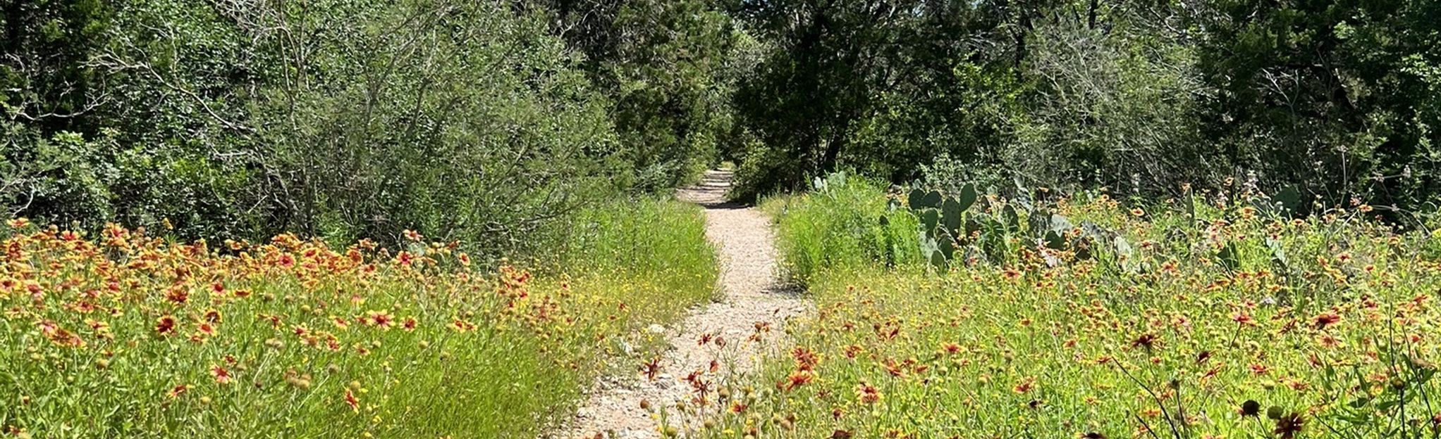 allen parkway bike trail