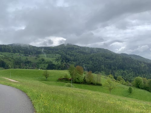 Mambach - Hohe Möhr