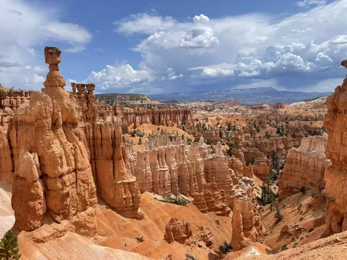 Dog friendly hikes in hotsell bryce canyon