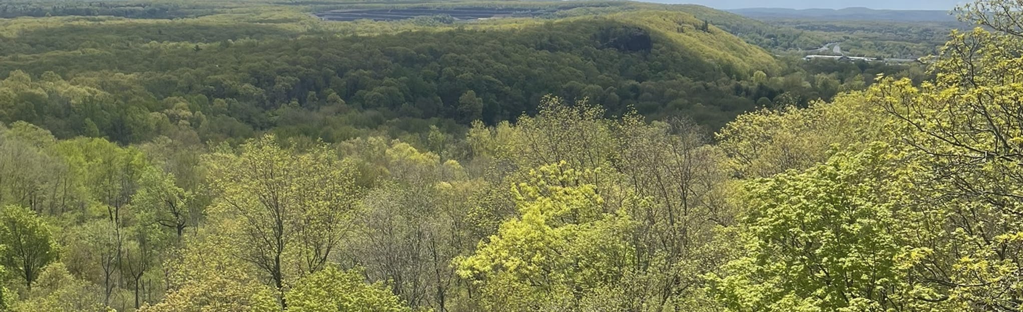Rattlesnake Mountain via Trail, 1 682 Photos Connecticut