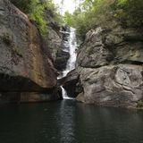 Paradise Falls, North Carolina - 331 Reviews, Map | AllTrails