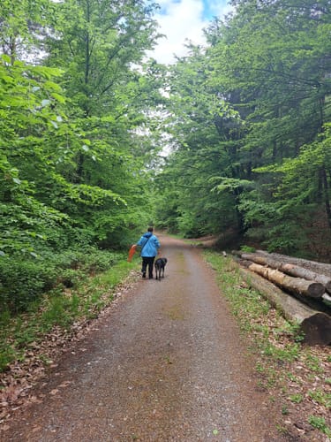 Straßbessenbach - Dachsbuckel - Steigknückel