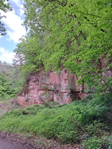 Straßbessenbach - Dachsbuckel - Steigknückel
