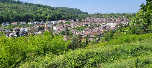 Rundweg: Sulz - Langenhard