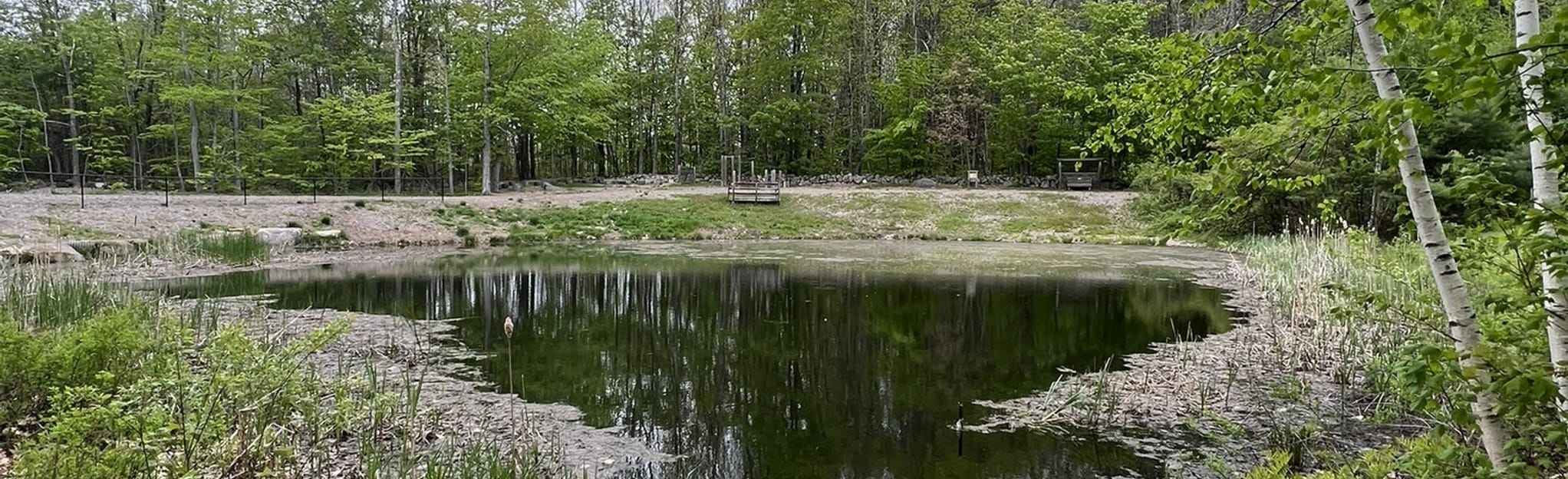 Frog Pond Trail 26 Reviews, Map Maine AllTrails