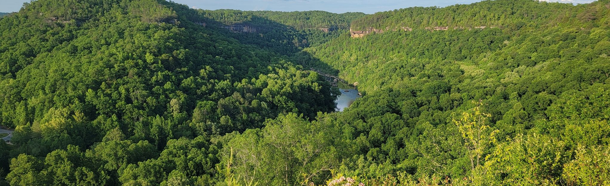 Dicks Gap Overlook via Peters Mtn Trailhead, Kentucky - 8 Reviews, Map ...