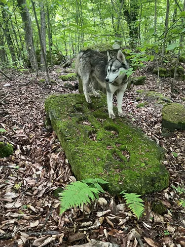 Best Hikes and Trails in Teghut AllTrails