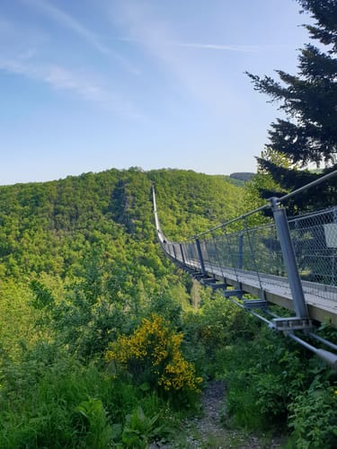 Hängebrücke Geierlay