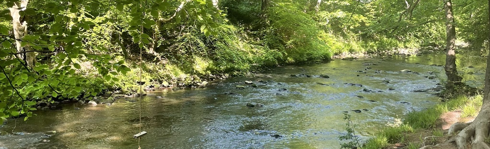 Oughtibridge and Beeley Wood Circular, South Yorkshire, England - 10 ...