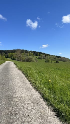 Willingen (W8)