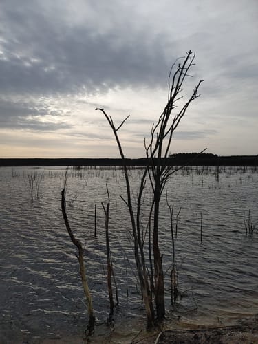 Um den Lugteich