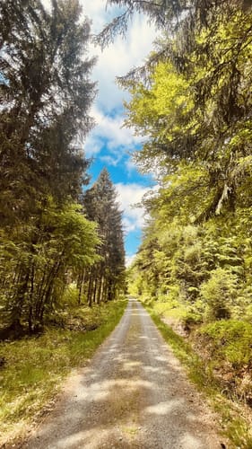 Kell am See ab Landal Greenpark