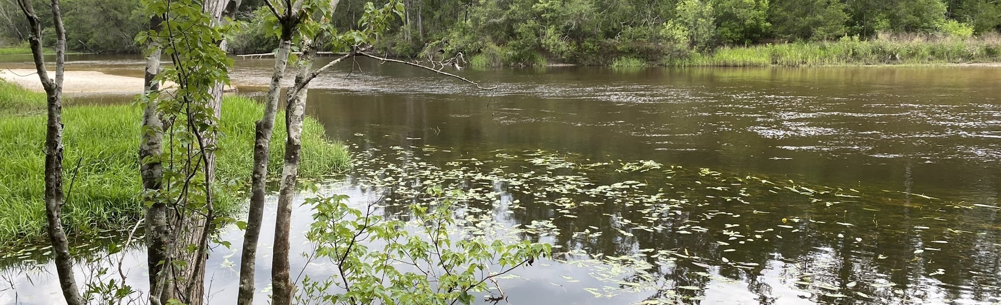 Juniper Lake Trail 33 Reviews - EyJidWNrZXQiOiJhc3NldHMuYWxsdHJhaWxzLmNvbSIsImtleSI6InVwbG9hZHMvcGhvdG8vaW1hZ2UvNTk3Mjk0MDYvNWUxMmIxZDVlMzlkZTRlYWMzOWZjZDQwNTBmY2FiN2YuanBnIiwiZWRpdHMiOnsidG9Gb3JtYXQiOiJqcGVnIiwicmVzaXplIjp7IndpZHRoIjoyMDQ0LCJoZWlnaHQiOjYyNCwiZml0IjoiY292ZXIifSwicm90YXRlIjpudWxsLCJqcGVnIjp7InRyZWxsaXNRdWFudGlzYXRpb24iOnRydWUsIm92ZXJzaG9vdERlcmluZ2luZyI6dHJ1ZSwib3B0aW1pc2VTY2FucyI6dHJ1ZSwicXVhbnRpc2F0aW9uVGFibGUiOjN9fX0=