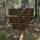 Four Notch Loop Trail, Texas - 359 Reviews, Map | AllTrails