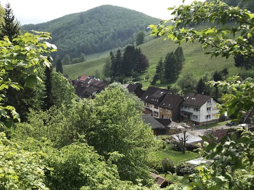 Rund um Lonau