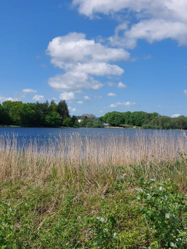 Wanderroute 15: Owschlager See - Owschlager Moor