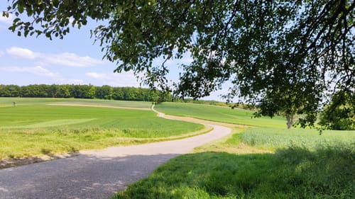 Durch den Höheforst und um den Baggersee Weingarten