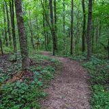 Union County Heritage Trail, North Carolina - 35 Reviews, Map | AllTrails