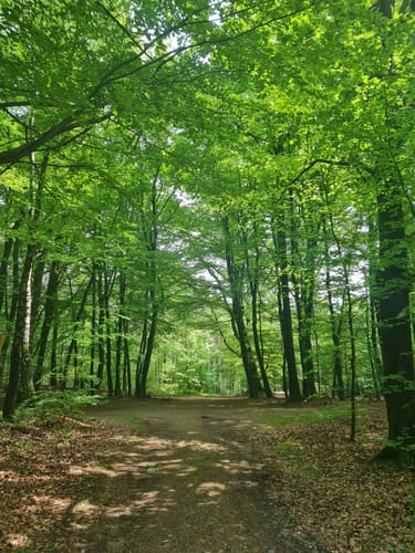 Nasses Dreieck - Brumleytal