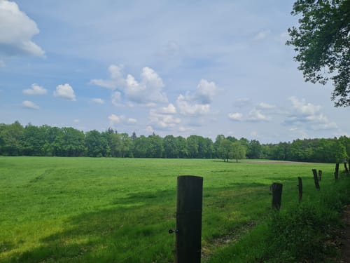 Nasses Dreieck - Brumleytal