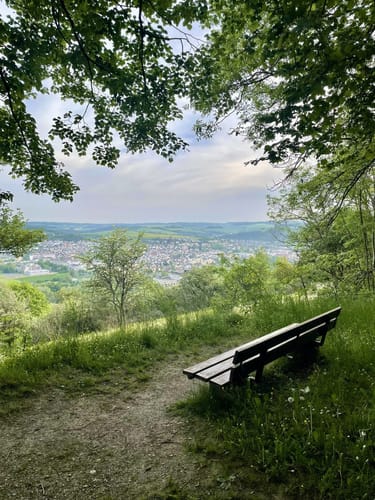 Bad Mergentheim Rundwanderweg