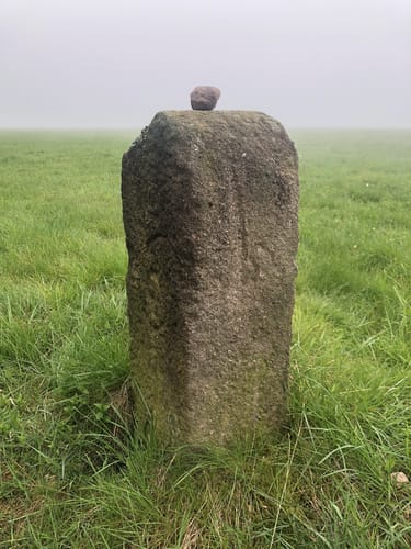Rennsteig Etappe 3: Ebertswiese -  Grenzadler