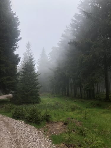 Rennsteig Etappe 3: Ebertswiese -  Grenzadler