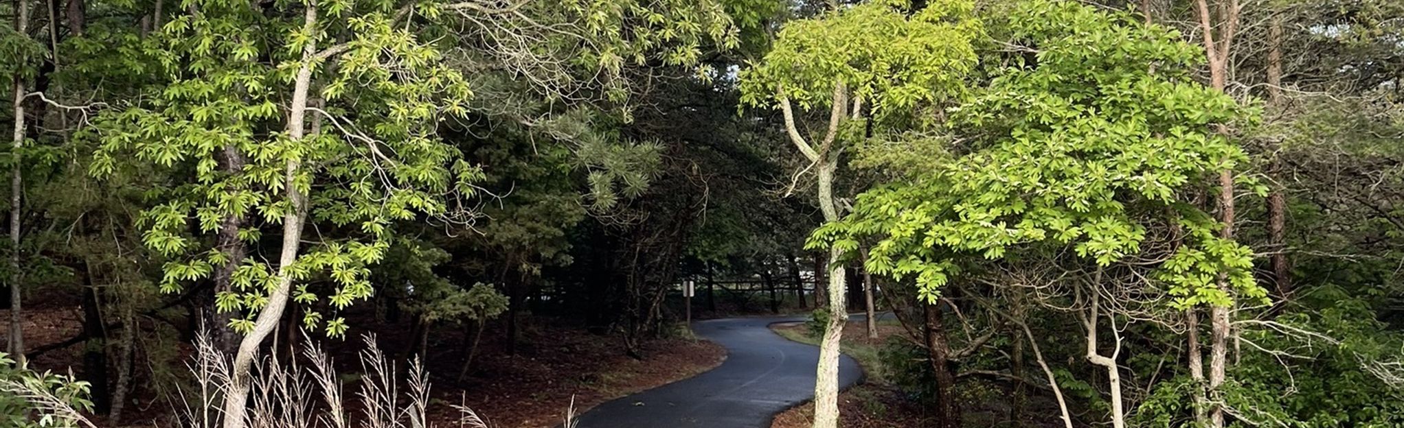 bike trails cape henlopen state park