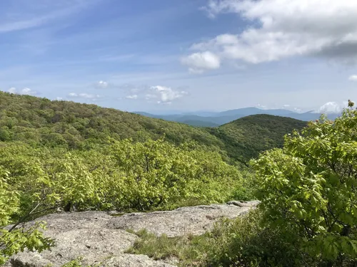 Spy rock camping hotsell
