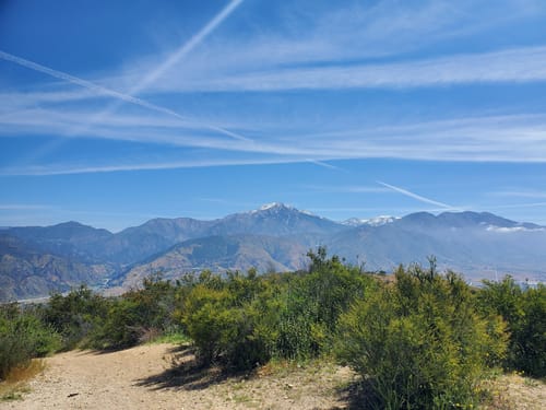 Best Hikes and Trails in Yucaipa Regional Park | AllTrails