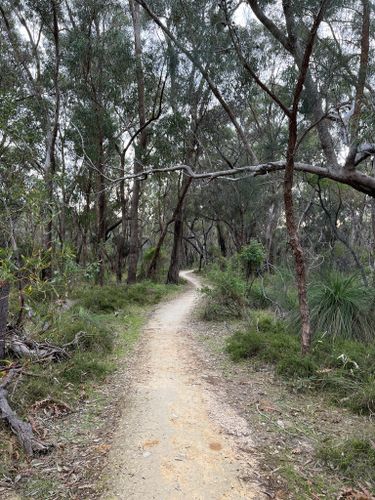 Best Hikes and Trails in Yanchep National Park | AllTrails